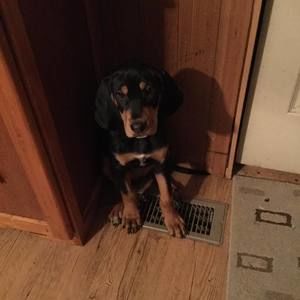 Meet your Posher, Gail